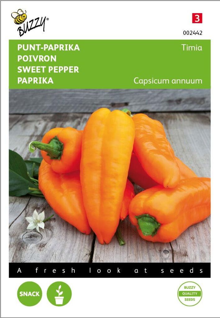 Paprika Timia Orange | Paprikasamen von Buzzy Seeds