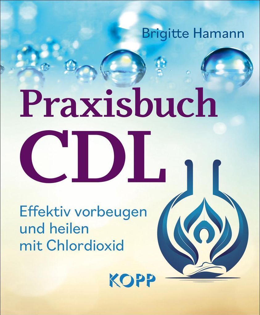 Praxisbuch CDL Produktbild