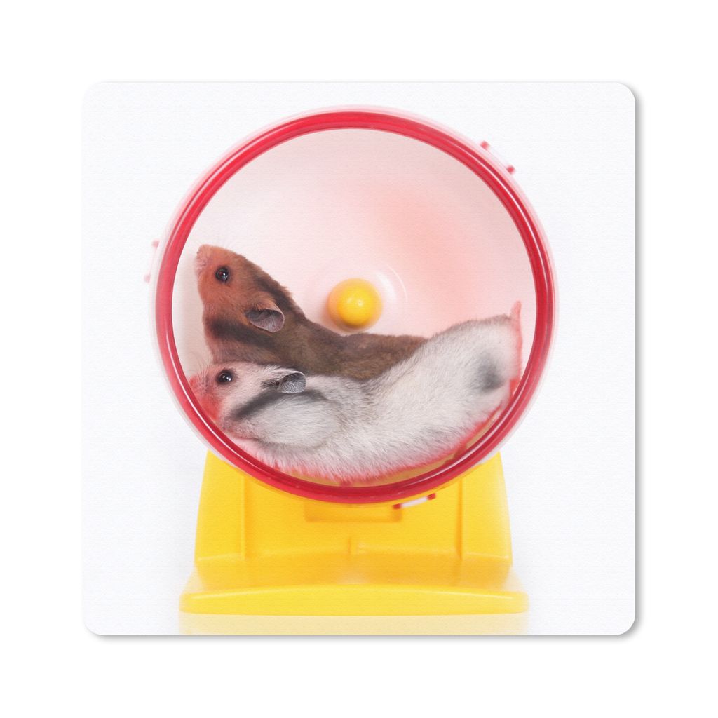 MuchoWow Mauspad Mousepad Hamster im Laufrad 20x20 cm - Mousepads - Maus Mat - Pad - Mausunterlage - Desk Mat - Bureauartikeln