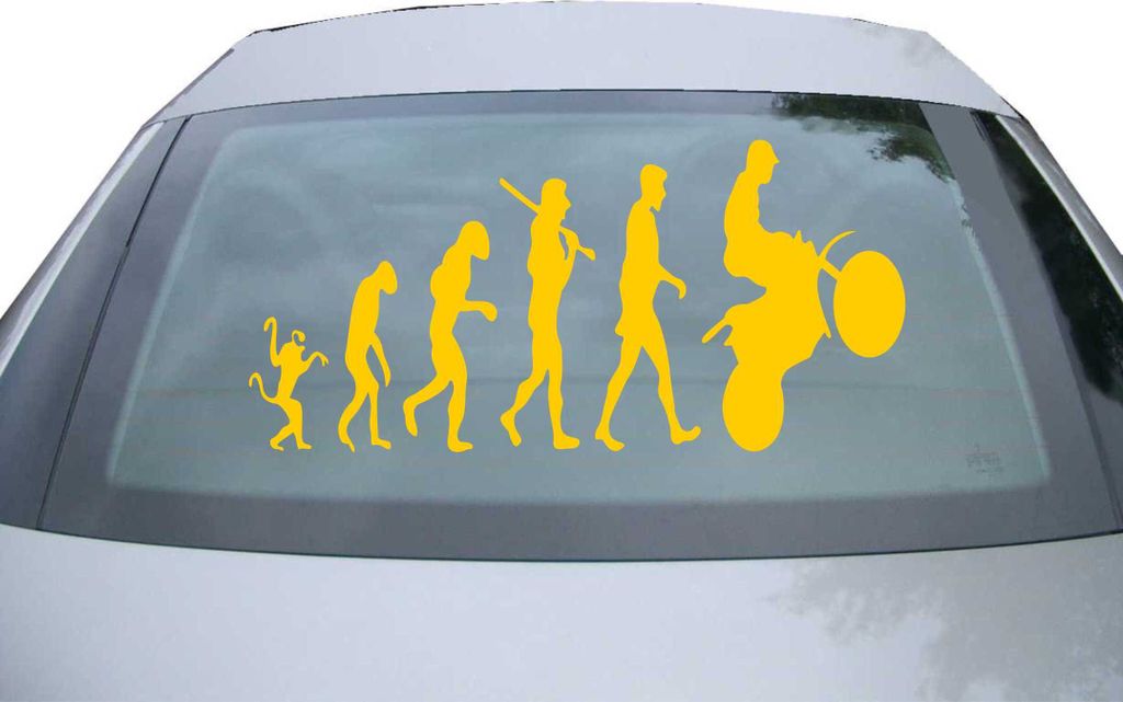 Indigos UG - Aufkleber Heckscheibe & Motorklappe DE6286 - gold - 600x285 mm - human evolution - Auto Scheiben Fenster Heckklappe Tuning Racing JDM ...