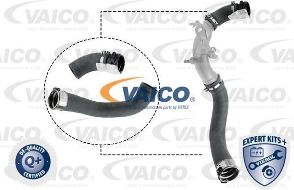 VAICO V46-1025 Ladeluftschlauch OE 144602500Rkit kompatibel mit Dokker, Lodgy, Captur, Clio