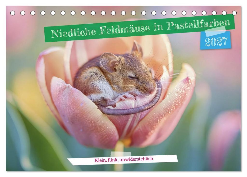 Niedliche Feldmäuse in Pastellfarben (Tischkalender 2027 DIN A5 quer), CALVENDO Monatskalender
