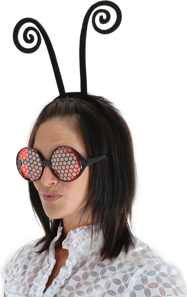 Insektenfühler
