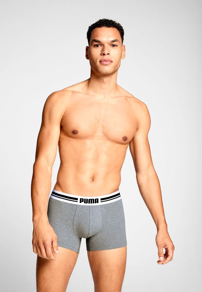 PUMA ACCESSOIRES - puma men everyday placed logo boxer - Sportondergoed heren - Grijs-Multicolour