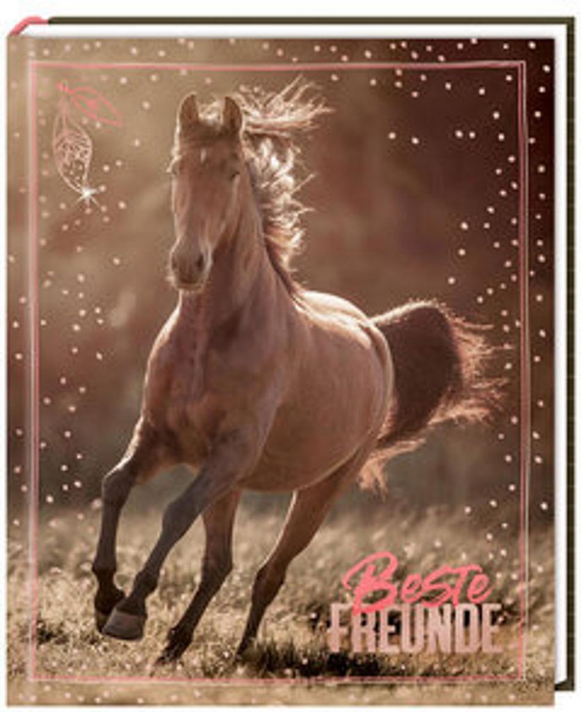 Freundebuch - I LOVE HORSES - Beste Freunde