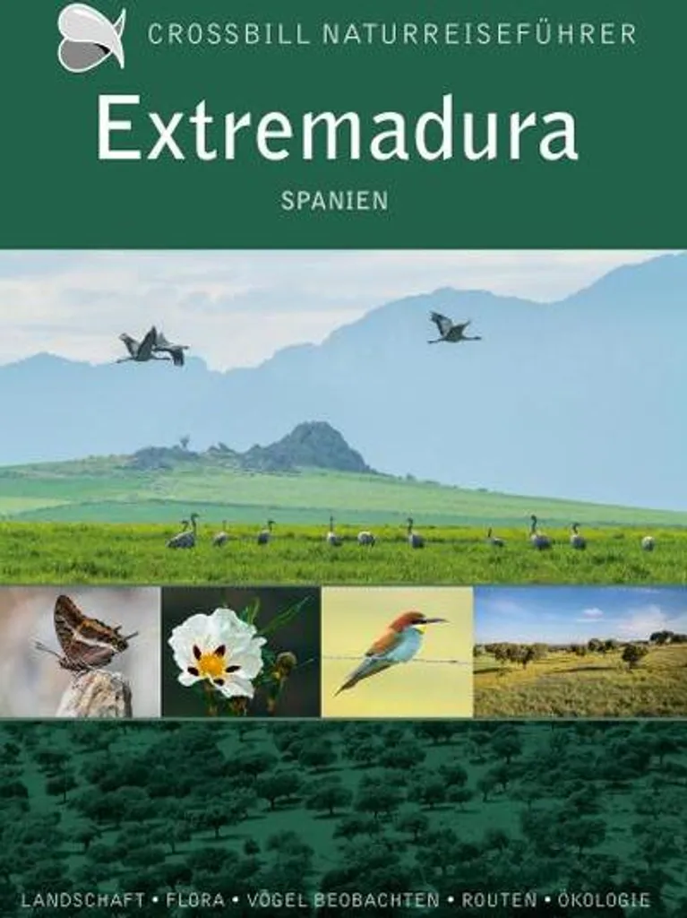 Extremadura Chaussures de Trekking Idéales pour les Longues Randonnées