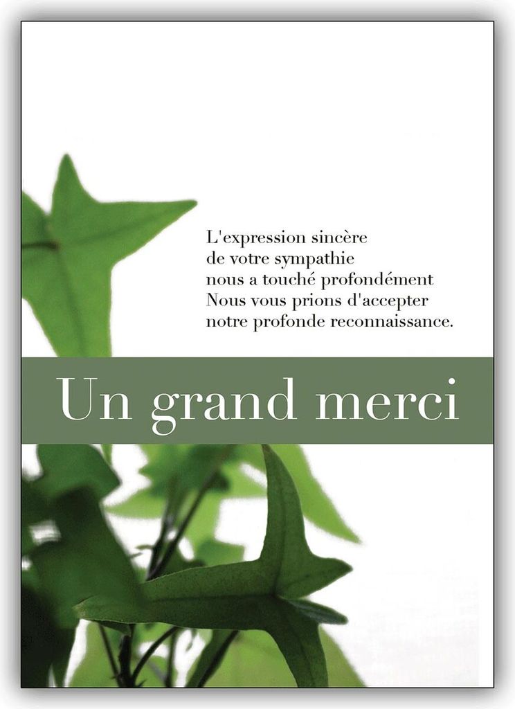 4x Französische Trauer Dankeskarte: Un grand merci