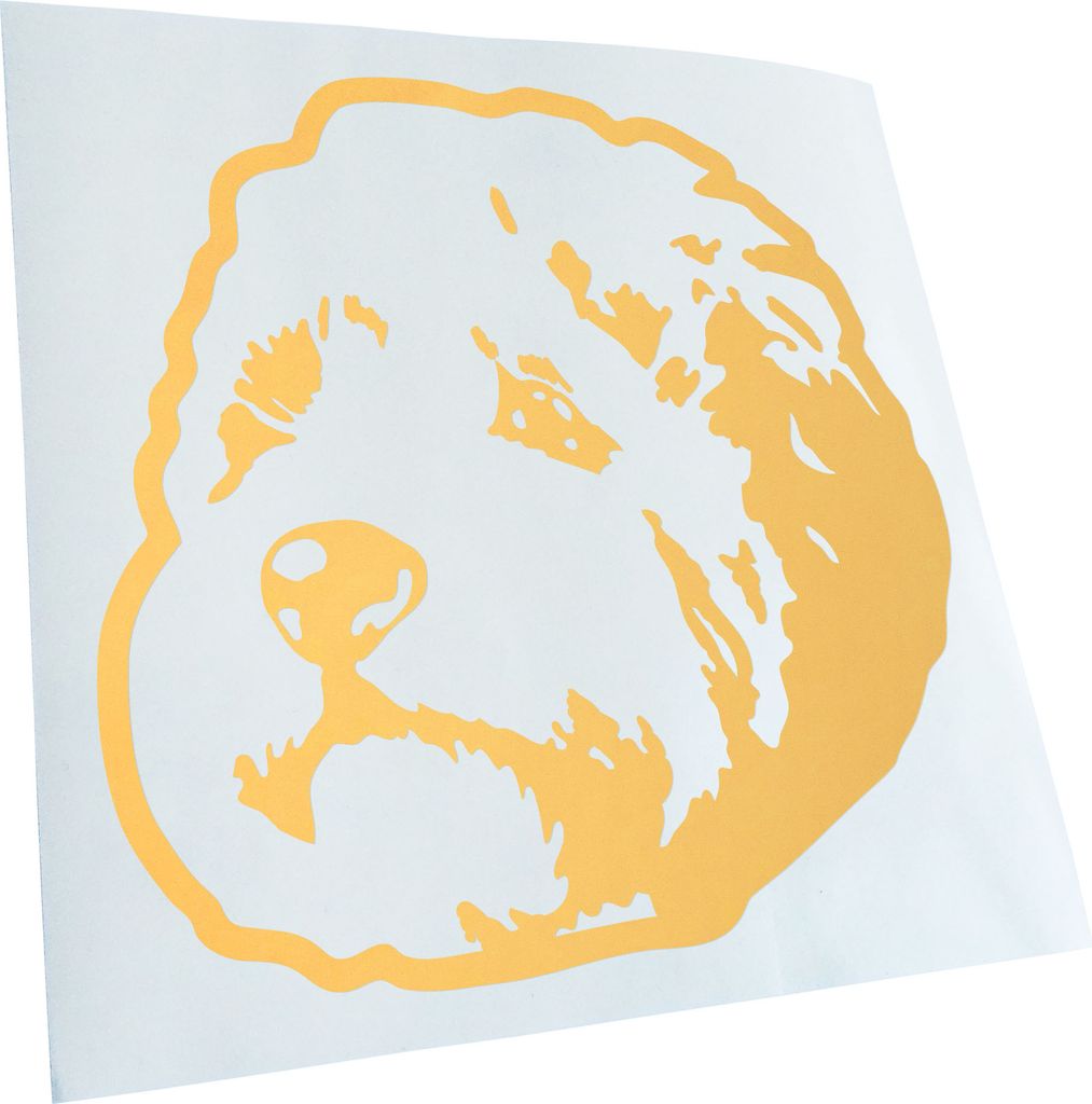 Kiwistar - Autoaufkleber - Cockapoo Hund - Creme - 24x24cm - Aufkleber für Auto, Laptop, Fahrrad, LKW, Motorrad mehrfarbig JDM Decal Racing