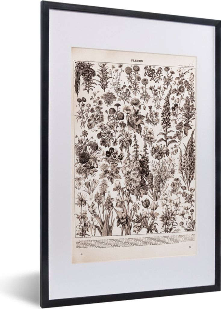 MuchoWow Gerahmtes Poster Blumen - Pflanzen - Schwarz - Weiß 40x60 cm - Poster mit Schwarzem Bilderrahmen Wandposter Rahmen Foto Bilder - Poster...