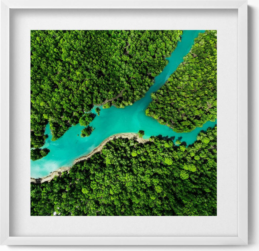 Vogelperspektive auf einen Fluss in einem tropischen Wald– Wandbild mit Rahmen – Gerahmtes Bild – Wanddekoration – 50x50 cm – Weiß Rahmen