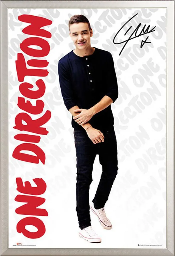 Offerta Poster One Direction Liam Payne con Cornice Alluminio Shinsuke