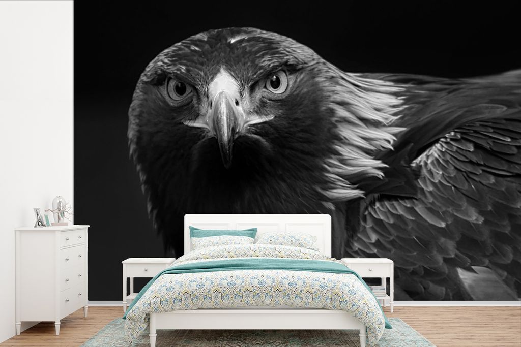 MuchoWow Fototapete für Wohnzimmer oder Schlafzimmer Wandtapete Vinyl Motivtapete Bussard - Vogel - Tiere - Schwarz - Weiß - 330x220 cm - Fotot...