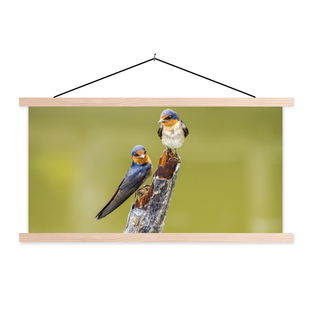 MuchoWow Textilposter Vögel - Zweig - Porträt 60x30 cm mit holzfarbenen Rahmen - Dekoration