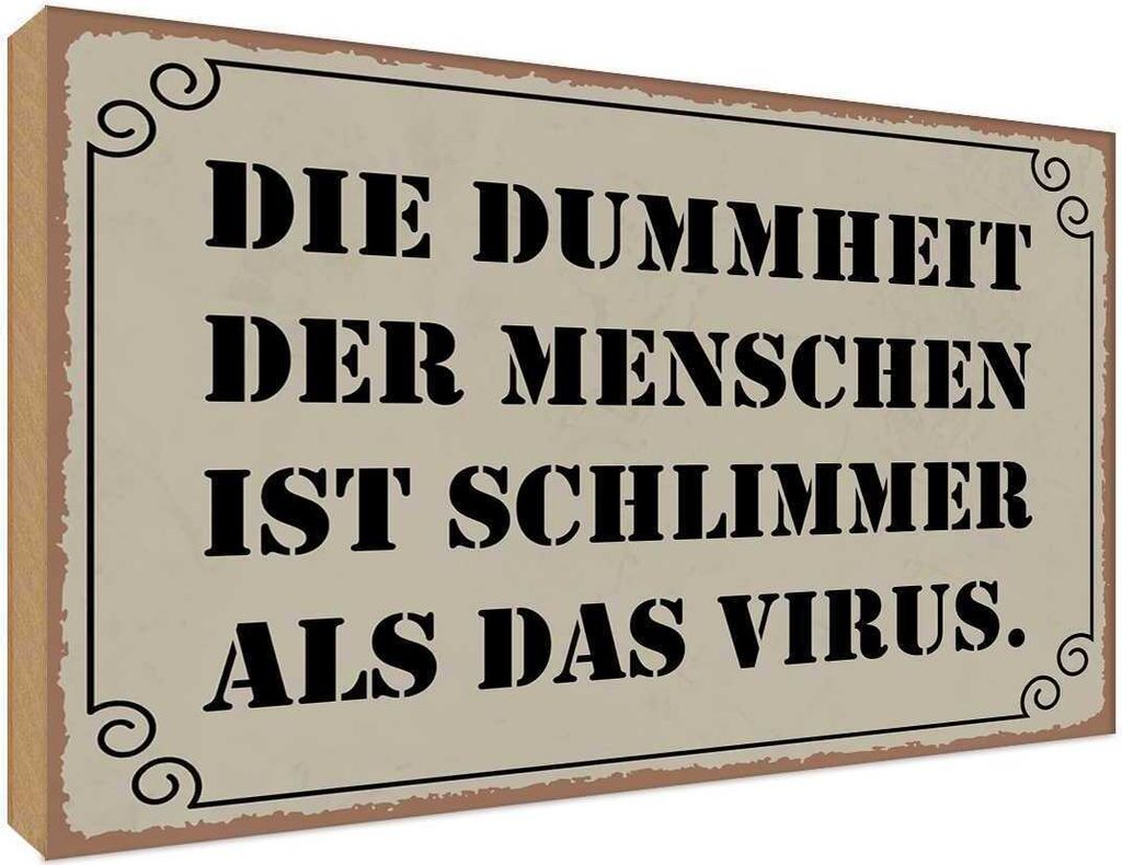vianmo Holzschild 30x40 cm Dummheit schlimmer als Virus Dekoration