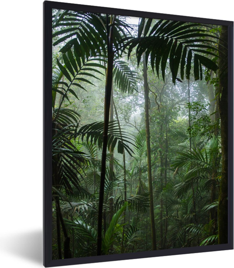 MuchoWow Gerahmtes Poster Regenwald - Tropisch - Dschungel - Bäume - Pflanzen 60x80 cm - Poster mit Schwarzem Bilderrahmen Wandposter Rahmen Fot...