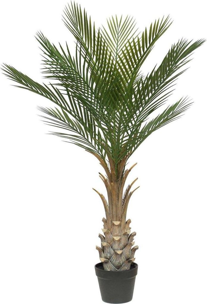 artplants.de Deko Phönixpalme ZOLTER, crossdoor, 150cm - Künstliche Dattelpalme