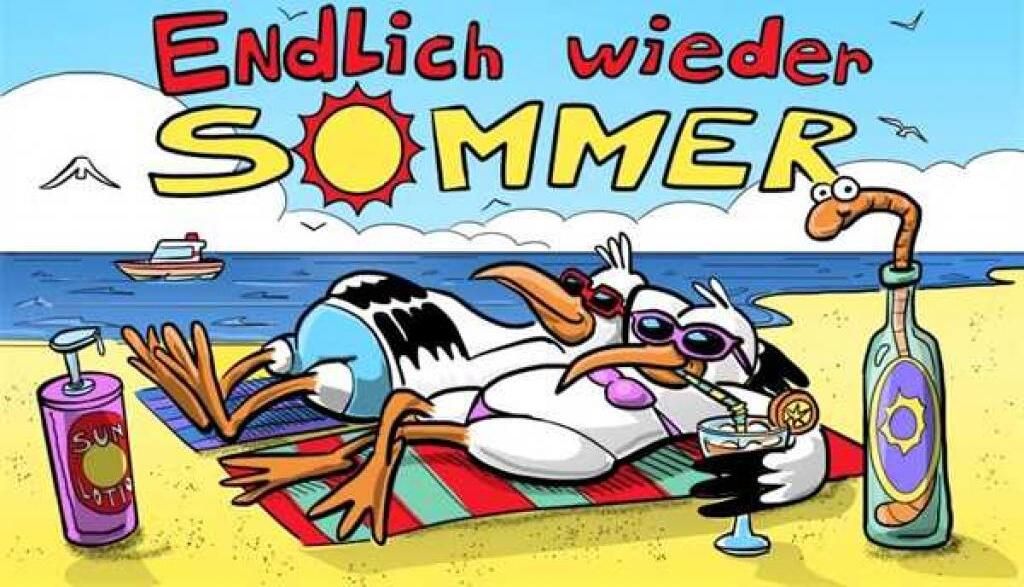 Bandiera ENDLICH WIEDER SOMMER 90 x 150 cm con 2 occhielli Immagine del prodotto 