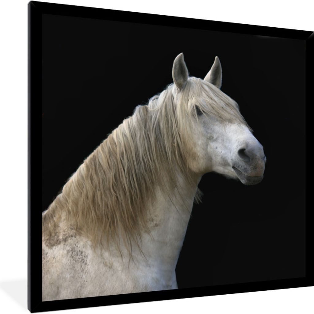 MuchoWow Gerahmtes Poster Pferde - Schwarz 40x40 cm - Poster mit Schwarzem Bilderrahmen Wandposter Rahmen Foto Bilder - Mit Rahmen - Wanddekorati...