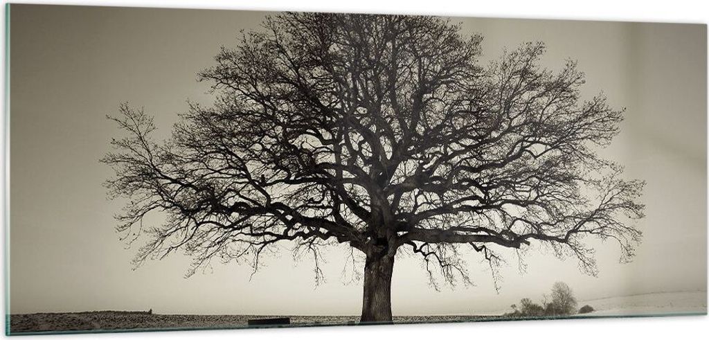 Bilder auf glas - Einteilig - Baum Schnee Sepia - 100x40cm - Glasbilder - Wandbilder - Bilder - zum Aufhängen bereit - Wanddekoration aus Glas - G...