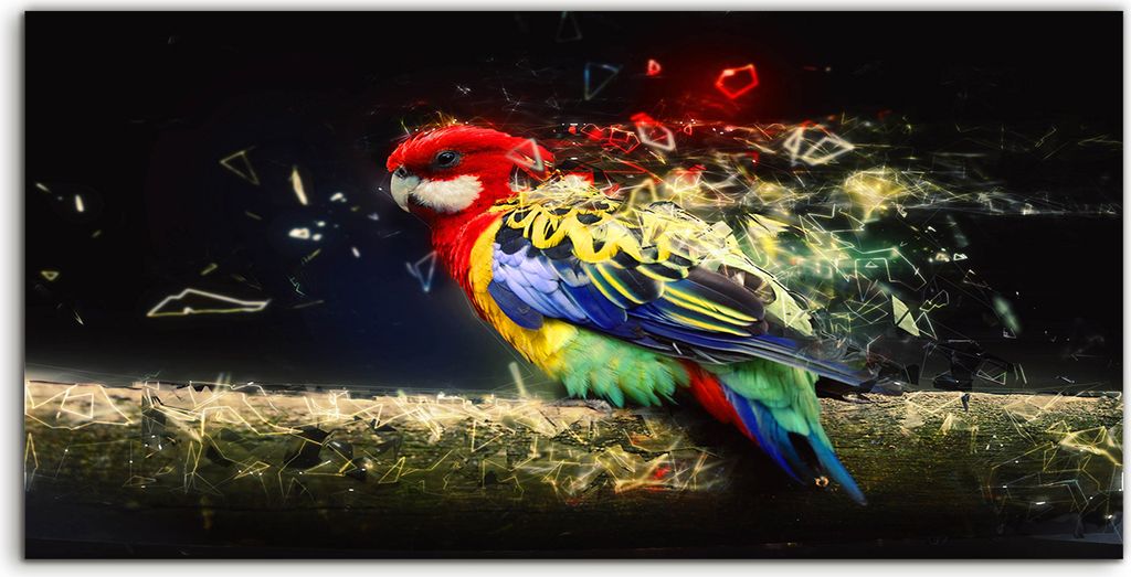 Coloray Acrylbild 100x50 Wandbild Acrylbilder Papagei auf dem Zweig Abstrakte Tier