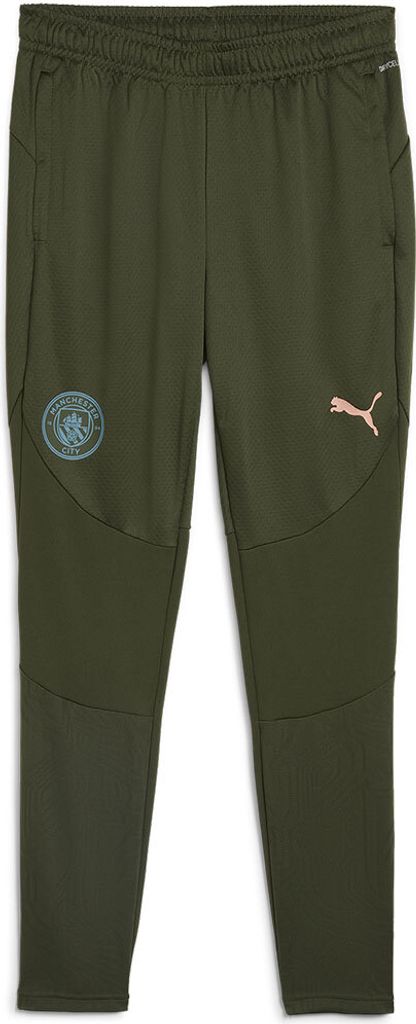 Puma Manchester City Fc Training Hosen Grün 2XL Grün 2XL