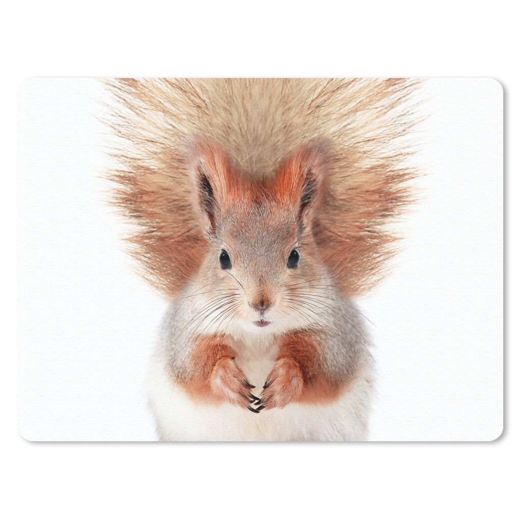 MuchoWow Mauspad Mousepad Eichhörnchen - Tiere - Natur - Orange - Weiß 40x30 cm - Mousepads - Maus Mat - Pad - Mausunterlage - Anti Rutsch