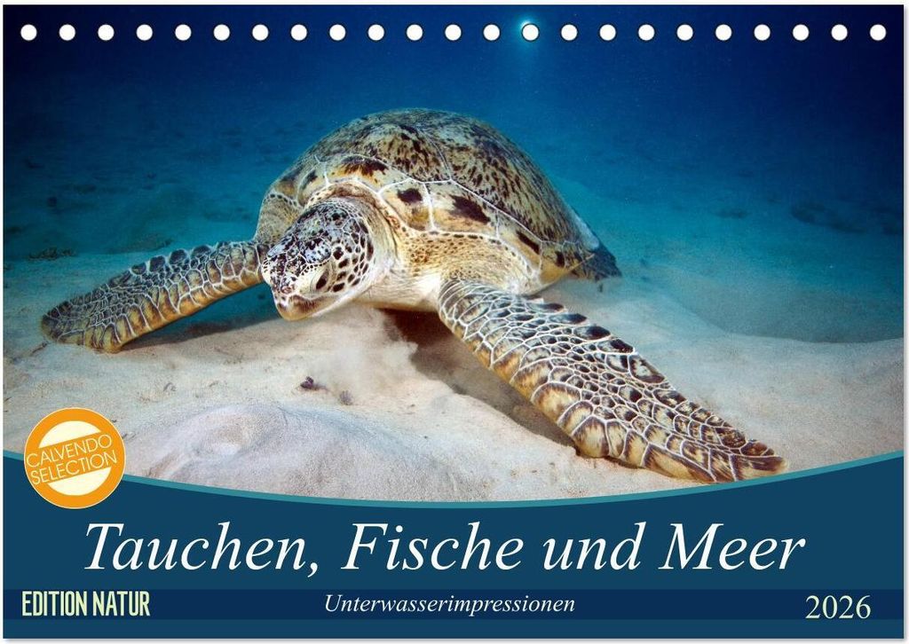 Tauchen, Fische und Meer (Tischkalender 2026 DIN A5 quer), CALVENDO Monatskalender