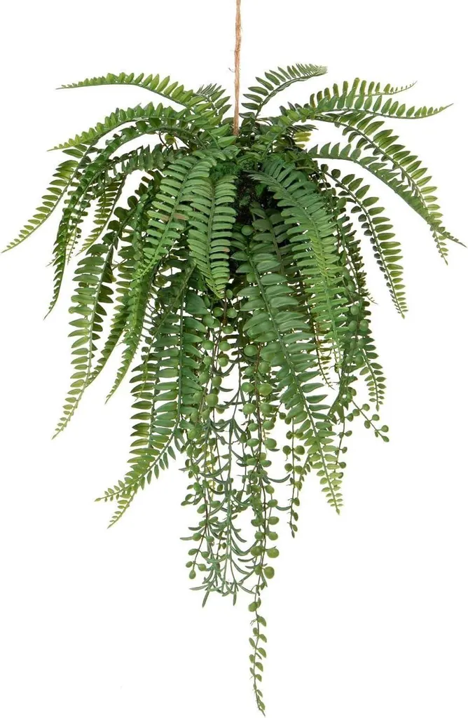 Plante artificielle Fougère pour zone sombre fini les plantes qui meurent