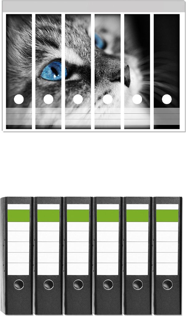 Wallario 6 Stück breite Ordner inkl. Klebeetiketten mit Motive Schwarz-weiß getigerte Katze mit leuchtend blauen Augen - Set mit Rückenschilder...