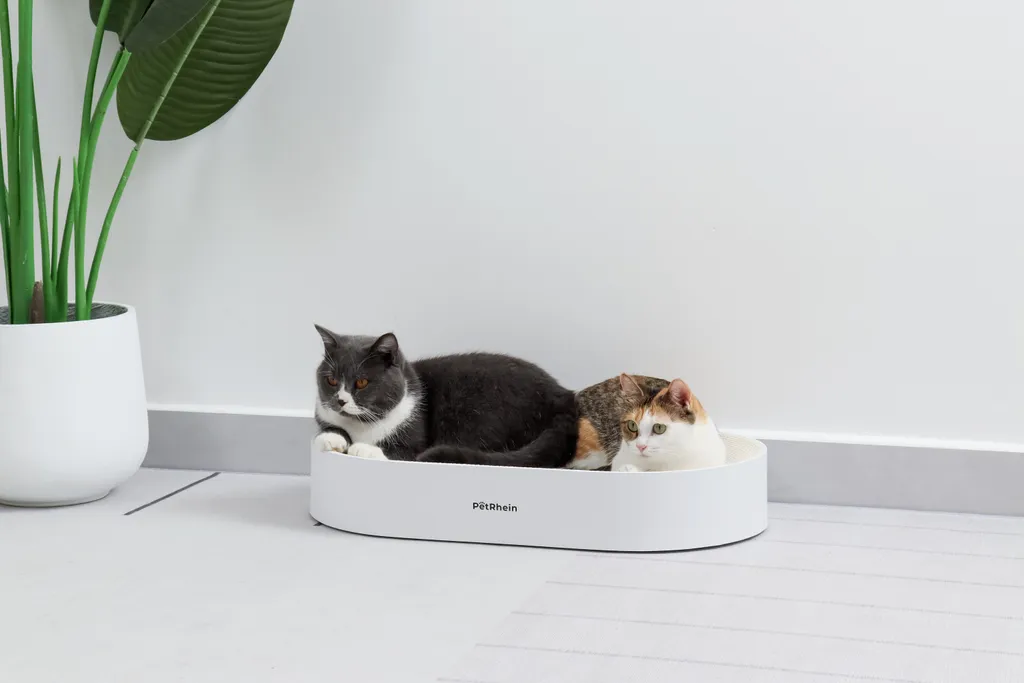 Carton à griffer Zen Paw Series Blanc - Griffoir design pour chat adulte