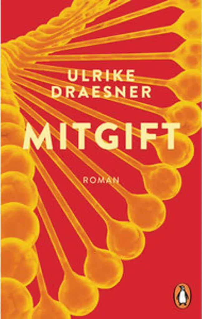 Mitgift Parure de Lit de Luxe en Coton Bio - Ensemble Complet de 4 Pièces