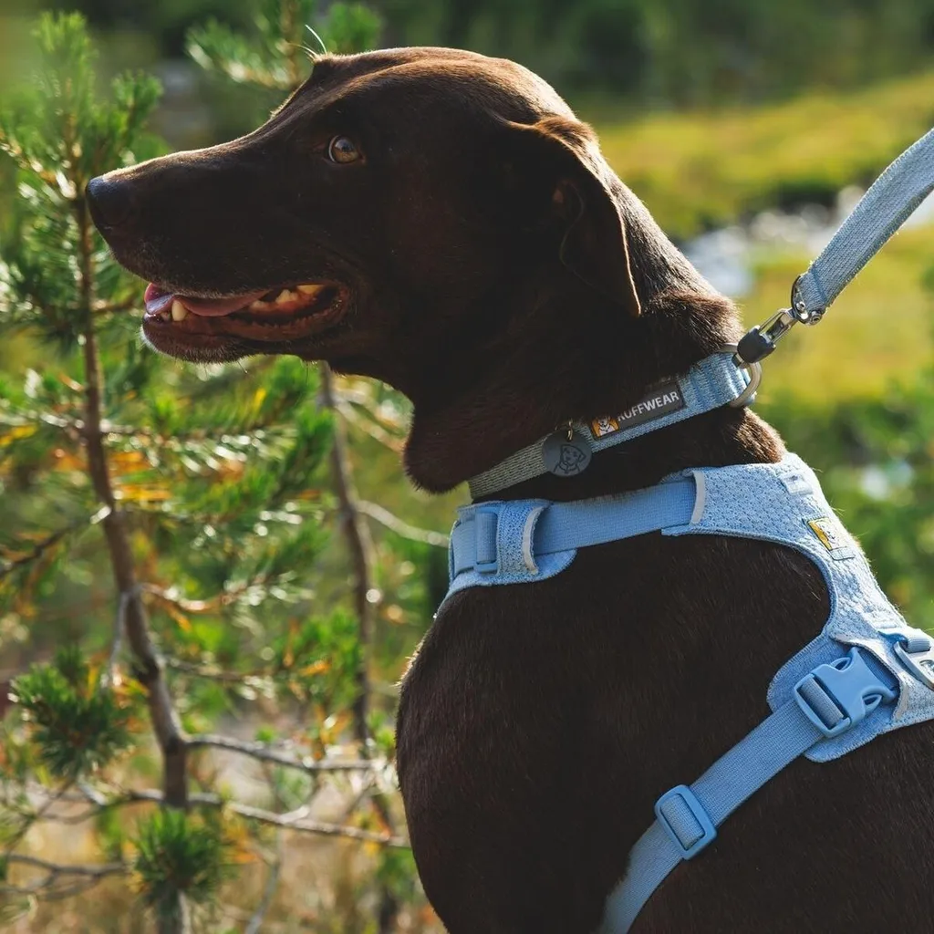 Collier Chien Réglable Ruffwear Front Range Flex Confort Bleu Polaire - 3