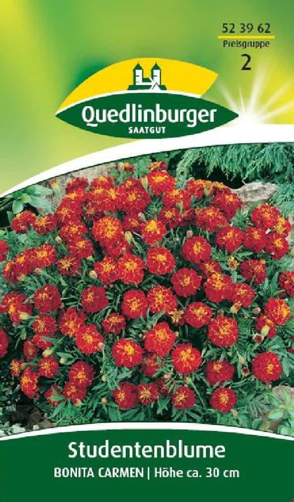 Studentenblume, Bonita Carmen Produktbild 
