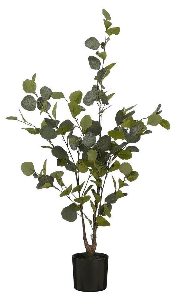Mica Decorations Eucalyptus Kunstpflanze in Blumentopf - Produktbild 