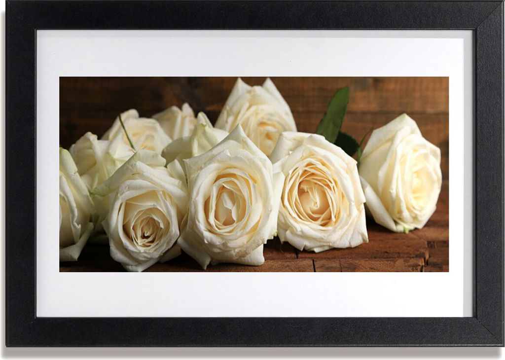 Bild 30x20 MDF-Rahmen Wandkunst Rosen Blumen Pflanzen