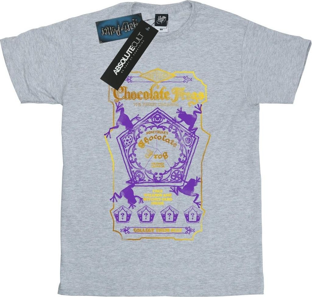 Harry Potter - T-Shirt für Herren BI29141 (S) (Grau)