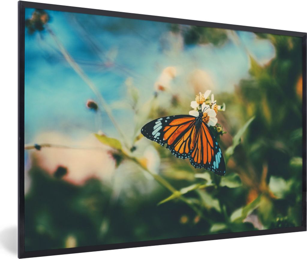 MuchoWow Gerahmtes Poster Schmetterling - Blumen - Garten 30x20 cm - Poster mit Schwarzem Bilderrahmen Wandposter Rahmen Foto Bilder - Kunstdruck...