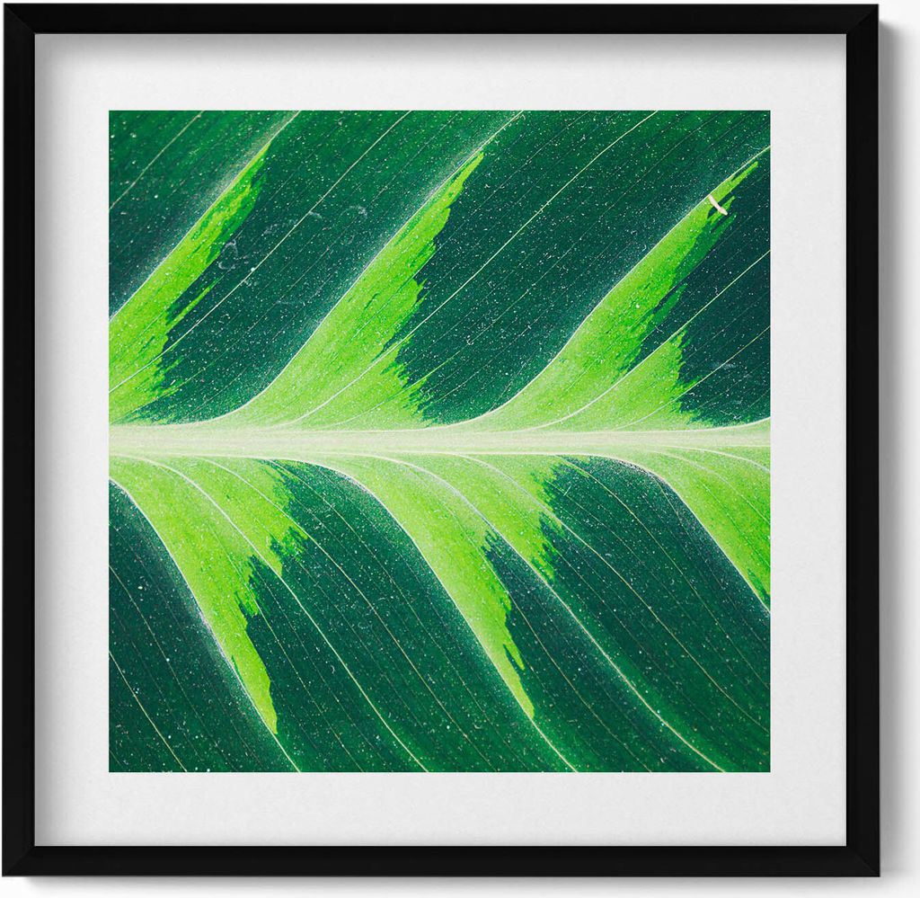 Textur und Adern eines Blattes– Wandbild mit Rahmen – Gerahmtes Bild – Wanddekoration – 50x50 cm – Schwarz Rahmen