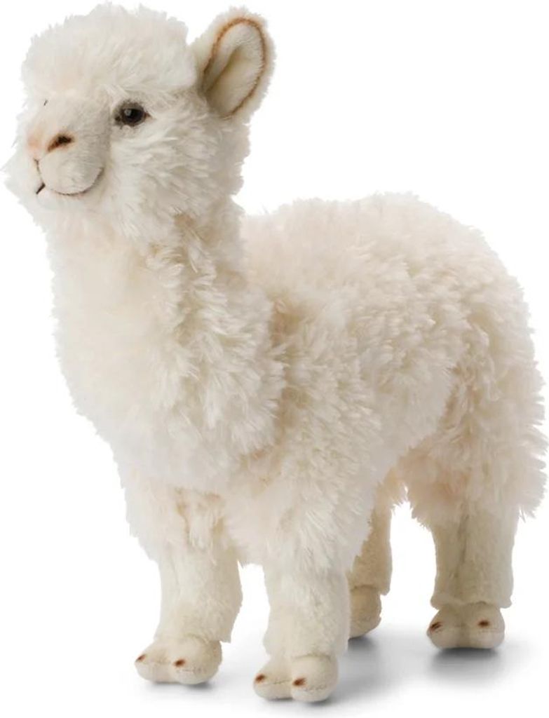 A white plush alpaca toy standing on a white background.