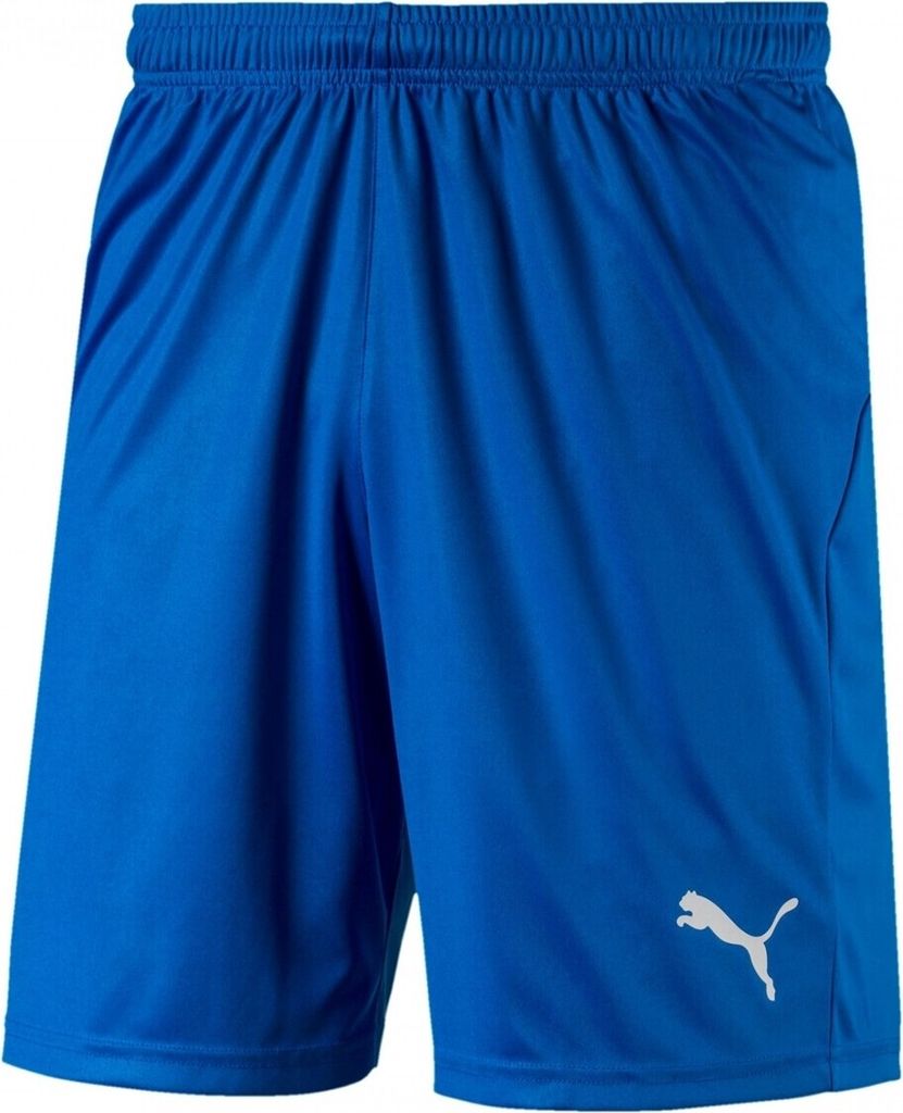 Puma Hosen Liga Shorts Core, 70343602, Größe: 192