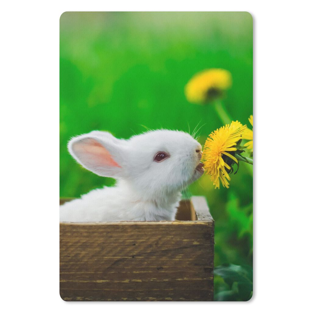 MuchoWow Mauspad Mousepad Kaninchen - Löwenzahn - Gras 40x60 cm - Mousepads - Maus Mat - Pad - Mausunterlage - Schreibtisch Accesoire