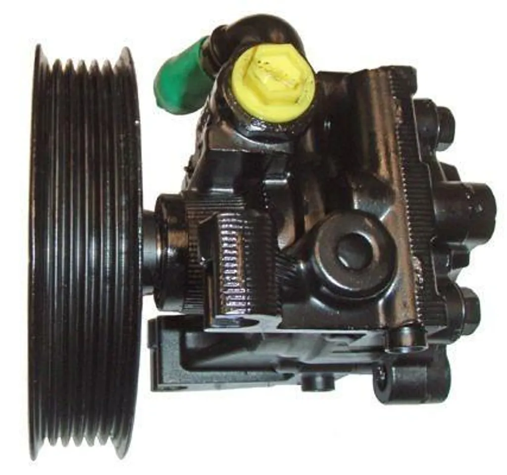 Lizarte 44.75.1510-1 Pompe de Direction Assistée FORD Transit Connect