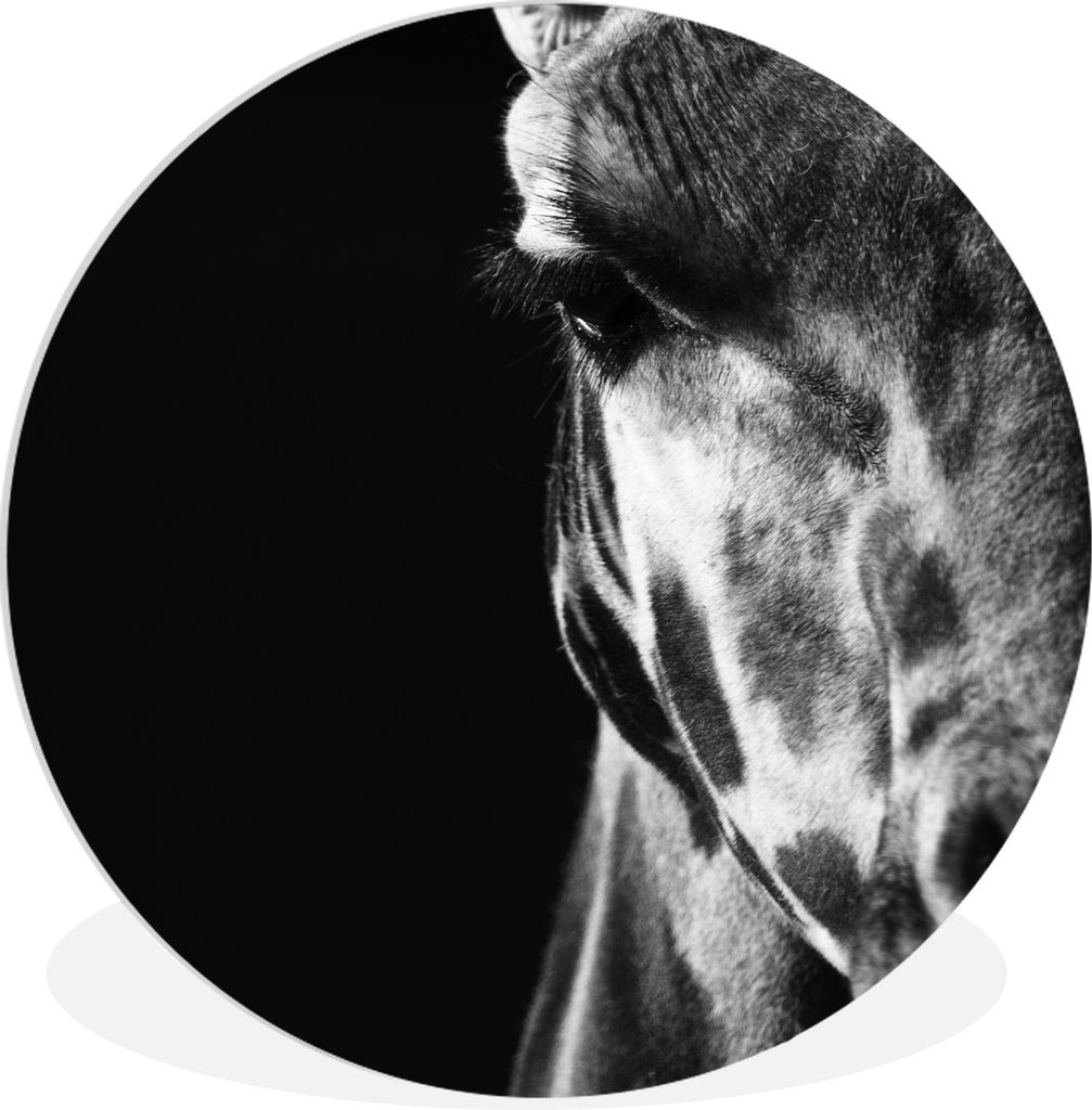 MuchoWow Rundes Wandbild - Runde Bilder Tierprofil Giraffe in schwarz und weiß Ø 60 cm Kreis Wanddekoration Kunststoff - Wandkreis - Wandschmuc...