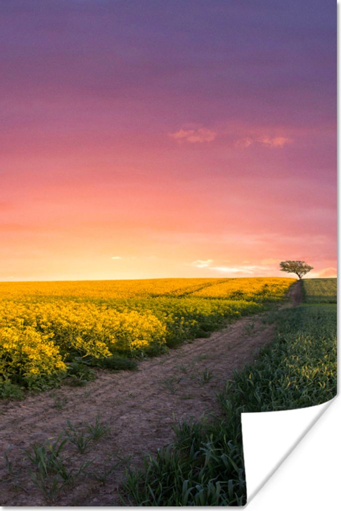 MuchoWow Poster Blumen - Straße - Himmel - Gelb - Lila - Sonnenuntergang - Natur 20x30 cm - Papierdruck