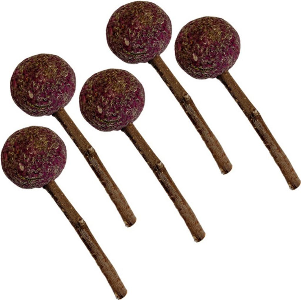 5PCS Lollipop Form Kauen Sticks Für Hamster Kaninchen Gerbils Ratten Meerschweinchen Chinchillas, Natürliche Heu Sticks Für Kleintiere Zähne(Rose)