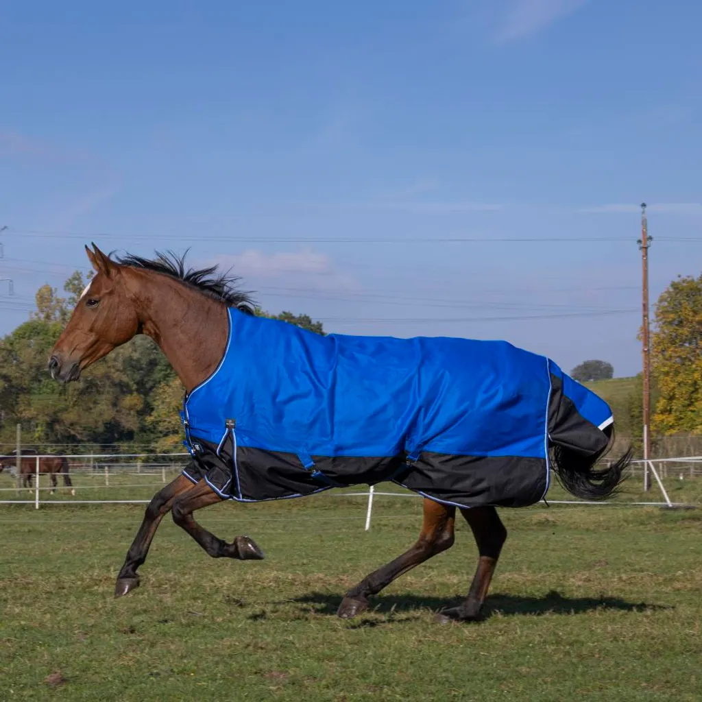 Couverture Mi-Saison Cheval Extérieur Tyrex 1200D High Neck 150 gr