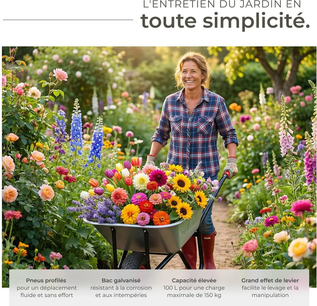 Brouette de jardin Oskar acier robuste roue gonflable finition argent