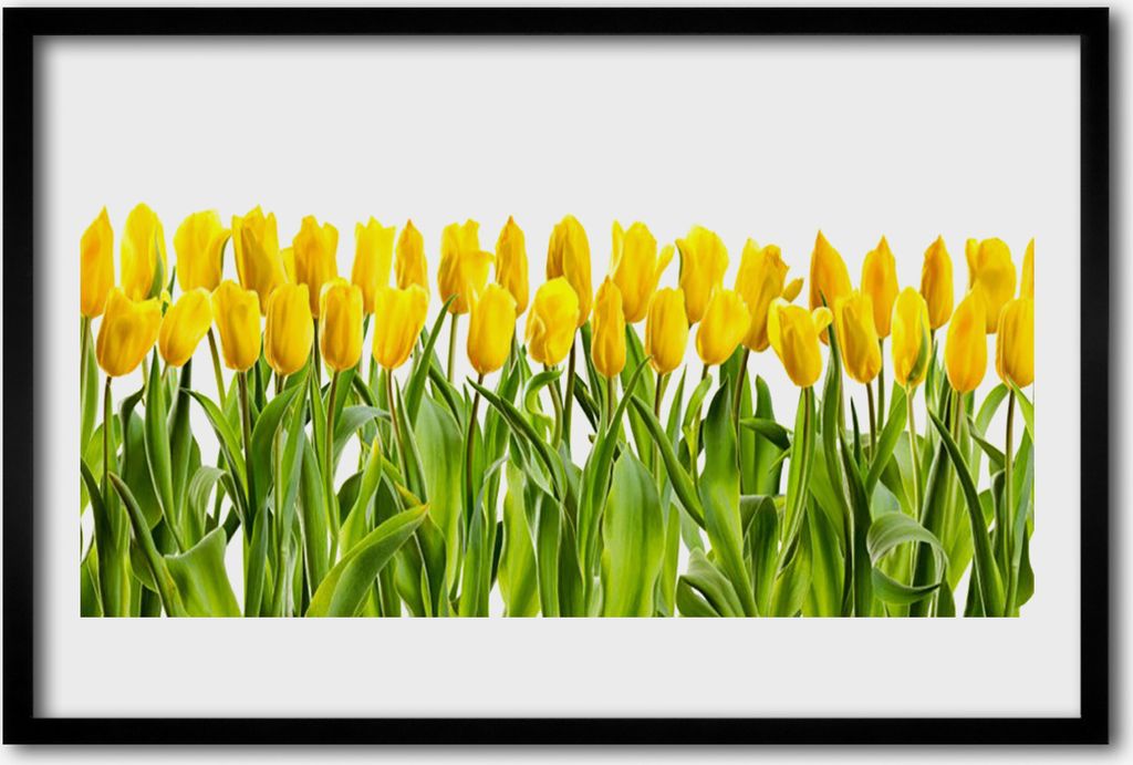 Bild 60x40 MDF-Rahmen Wandkunst Tulpen Blumen Natur