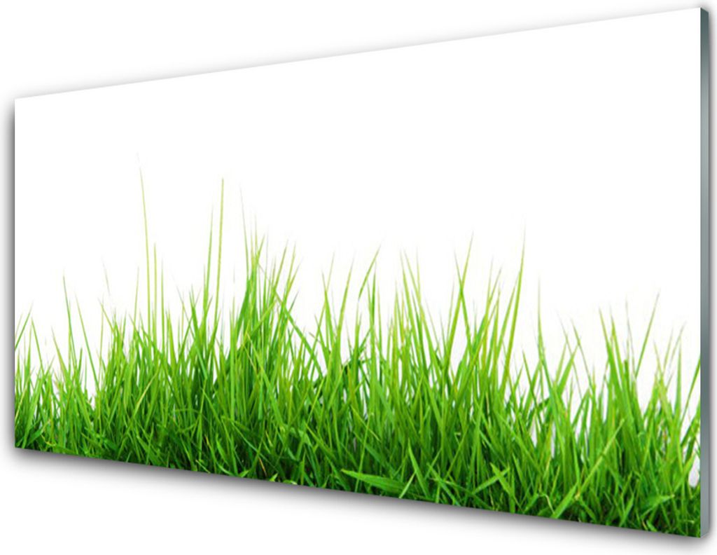 Küchenrückwand aus Glas 100x50cm Spritzschutz Gras Natur