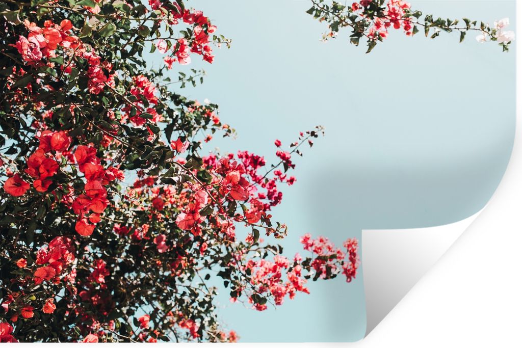 MuchoWow Wandtattoo Wandsticker Wandaufkleber Blumen - Luft - Rosa 60x40 cm Selbstklebend und Repositionierbar - Wierderverwendbar - Selbstklebend